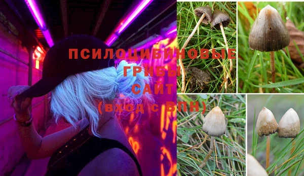 Альфа ПВП Ачинск