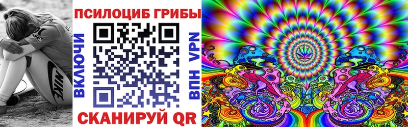 кракен онион  Полтавская  Псилоцибиновые грибы Psilocybine cubensis  купить закладку 